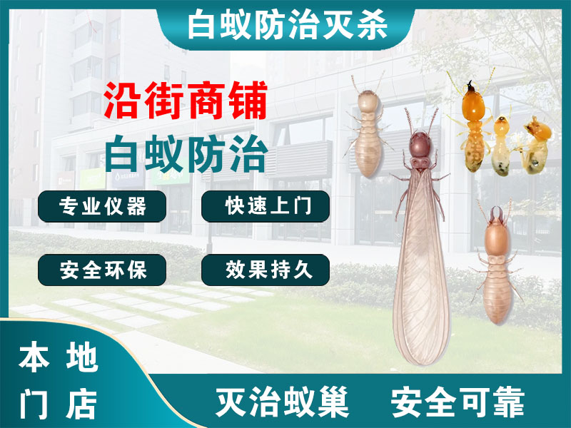 台州市沿街商铺白蚁防治