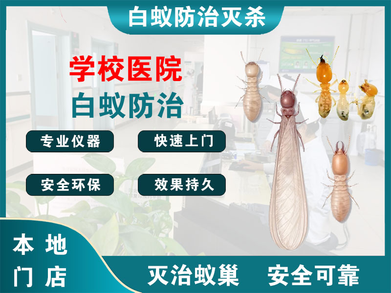 台州市学校医院白蚁防治