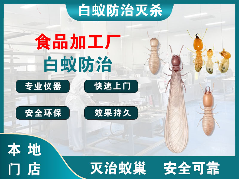 台州市食品加工厂白蚁防治