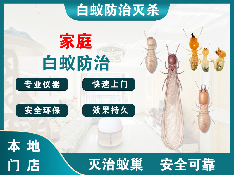 台州市家庭白蚁防治