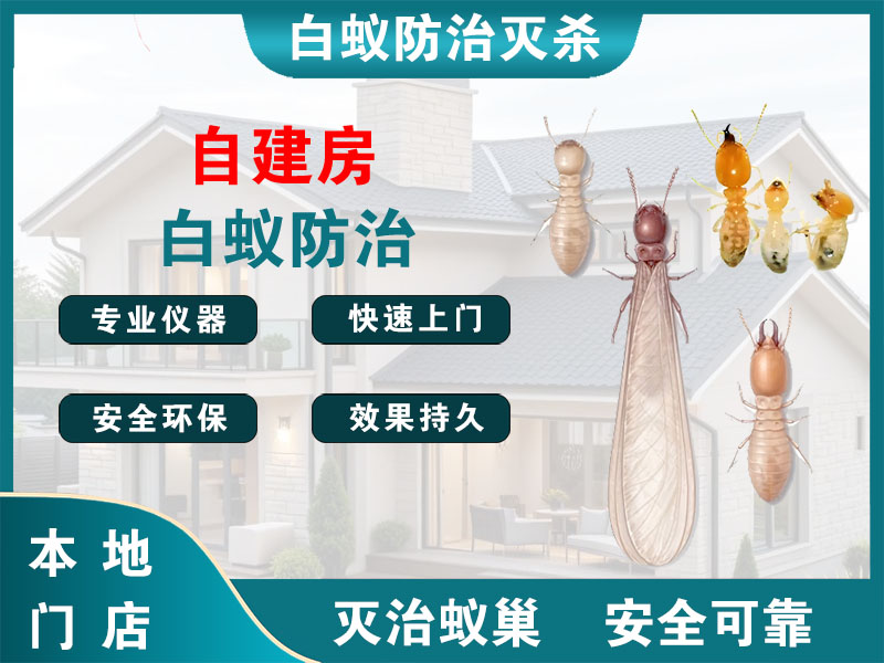 台州市自建房白蚁防治