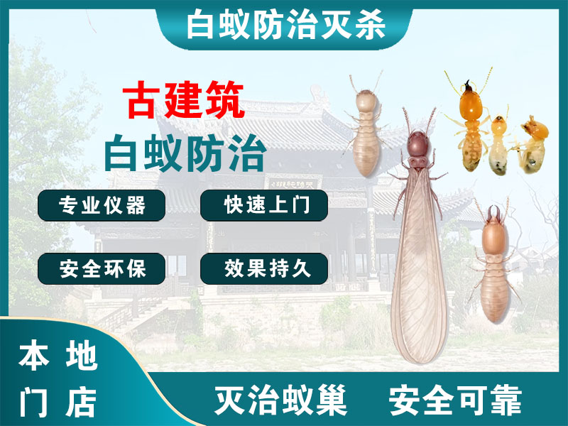 台州市古建筑白蚁防治