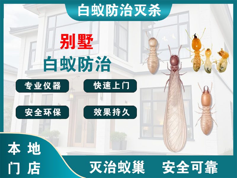 台州市别墅白蚁防治