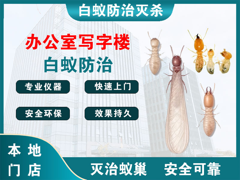 台州市办公室写字楼白蚁防治