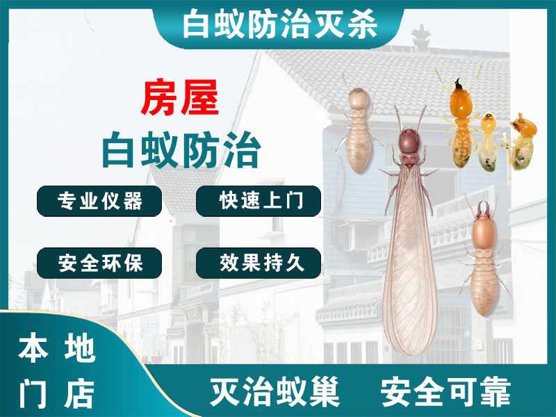 台州市房屋白蚁防治